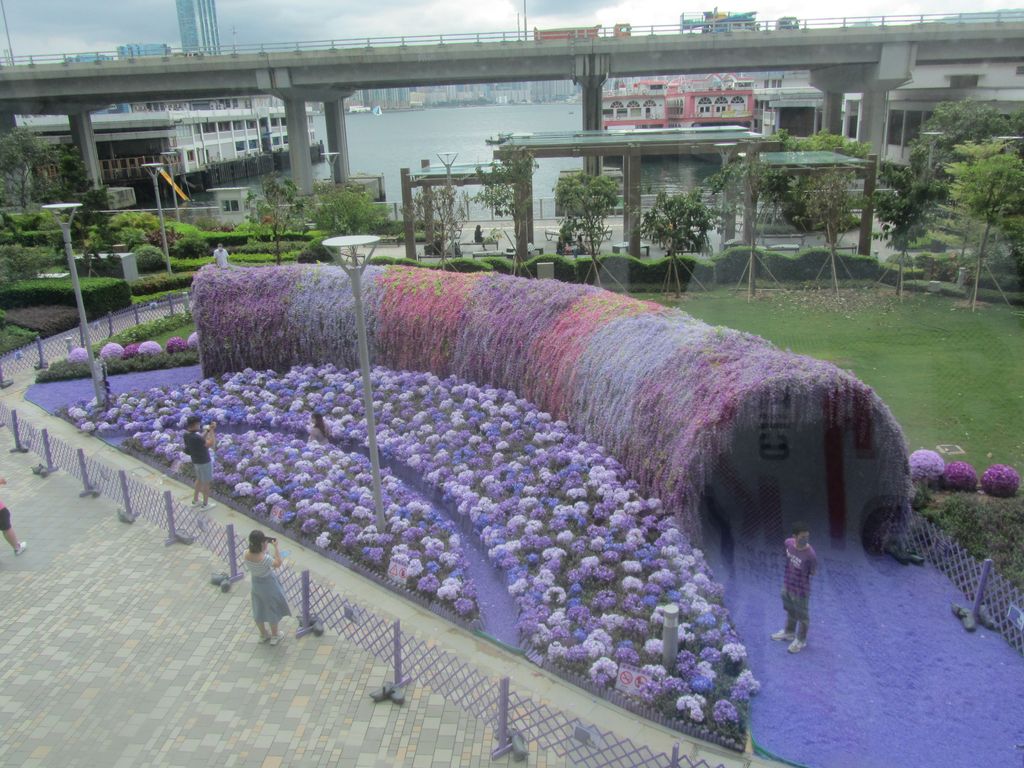 紫藤隧道外觀